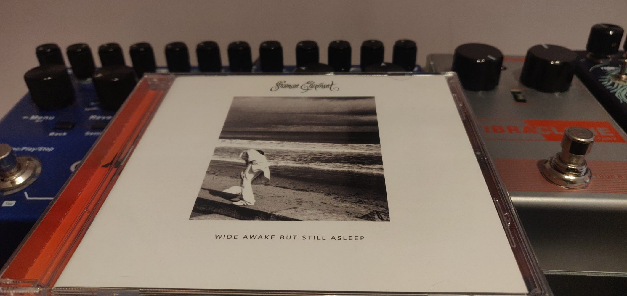 'Wide Awake But Still Asleep' Album Cover