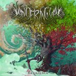 Wandering Oak: ‘Resilience’ Review